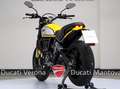 Ducati Scrambler Scrambler 800 Icon + accessori solo 10.335 km Giallo - thumbnail 11