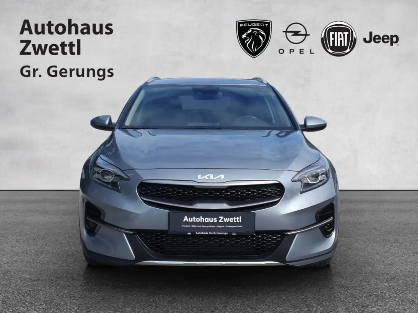 Kia XCeed 1,0 TGDI GPF Silber Silber - 2