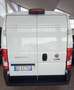 Fiat Ducato 33 2.2 Mjt 140CV PASSO LUNGO TETTO ALTO Bianco - thumbnail 3