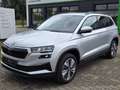 Skoda Karoq 2.0 TDI Selection Silber - thumbnail 1
