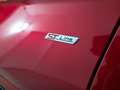 Ford Puma 1.0 ecoboost h ST-Line X s&s 125cv *PORTELLONE ELETTRICO* Rosso - thumbnail 11