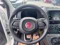 Fiat Panda 1.0 firefly hybrid s Bianco - thumbnail 10
