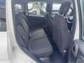 Fiat Panda 1.0 firefly hybrid s Weiß - thumbnail 17