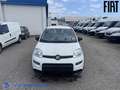 Fiat Panda 1.0 firefly hybrid s Bianco - thumbnail 2
