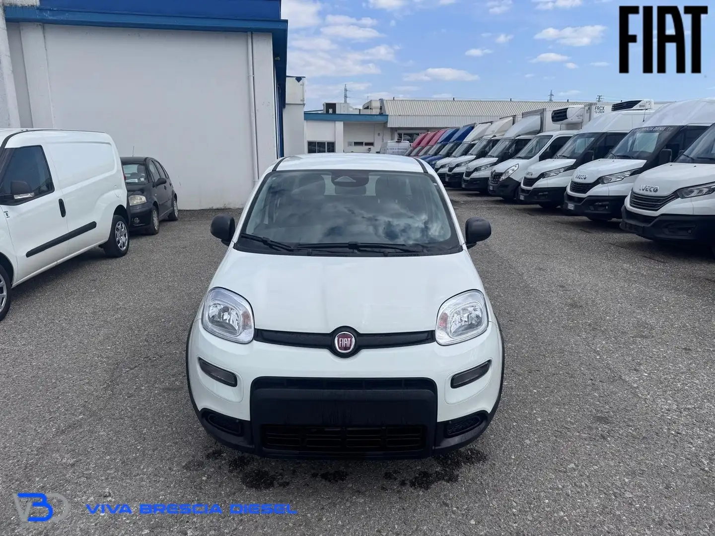 Fiat Panda 1.0 firefly hybrid s Bianco - 2