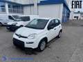 Fiat Panda 1.0 firefly hybrid s Bianco - thumbnail 1