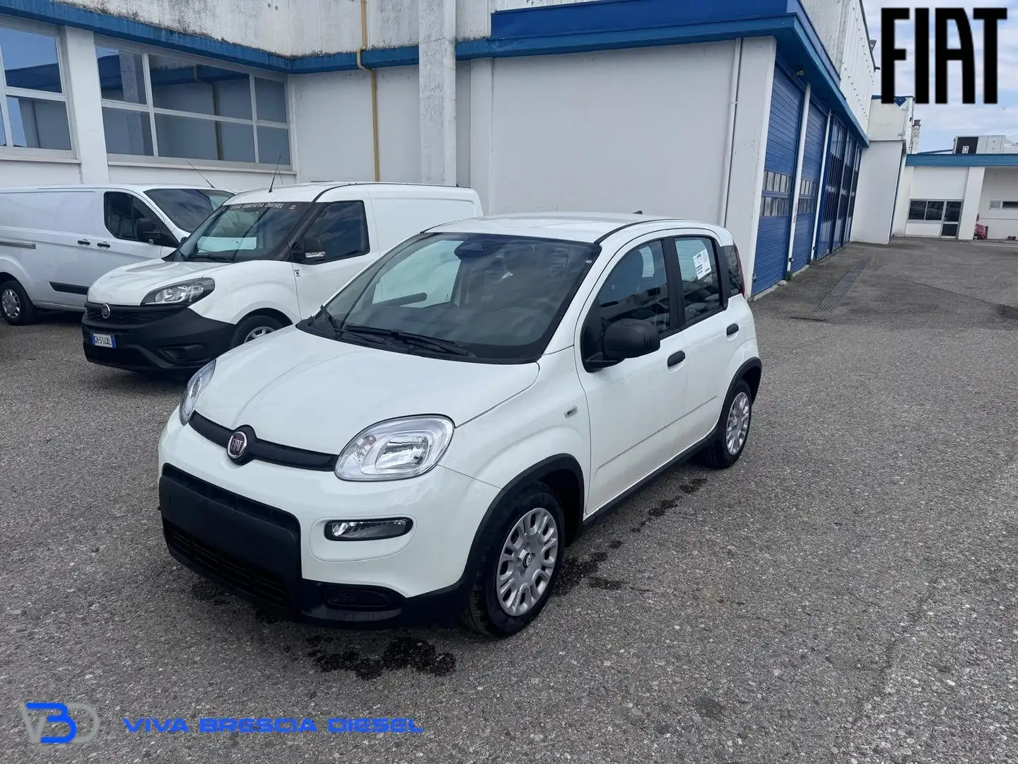 Fiat Panda 1.0 firefly hybrid s Bianco - 1