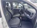 Fiat Panda 1.0 firefly hybrid s Weiß - thumbnail 18