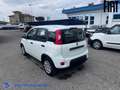 Fiat Panda 1.0 firefly hybrid s Bianco - thumbnail 4