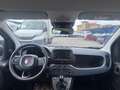 Fiat Panda 1.0 firefly hybrid s Bianco - thumbnail 15