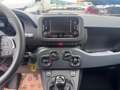 Fiat Panda 1.0 firefly hybrid s Bianco - thumbnail 13