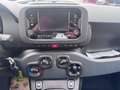 Fiat Panda 1.0 firefly hybrid s Bianco - thumbnail 14