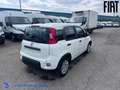 Fiat Panda 1.0 firefly hybrid s Bianco - thumbnail 6