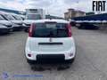 Fiat Panda 1.0 firefly hybrid s Bianco - thumbnail 5