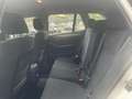 BMW X1 X1 E84 xDrive18d Sport Line Bianco - thumbnail 8