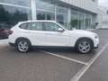 BMW X1 X1 E84 xDrive18d Sport Line Bianco - thumbnail 4