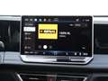 Volkswagen Tiguan R-Line-Edition 1.5 eHybrid 150 kW / 204 pk SUV 6 v Groen - thumbnail 22