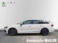 Skoda Octavia Combi First Edition 2.0 TDI 110 kW 7-Gang DSG *ACC Weiß - thumbnail 6