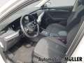 Skoda Octavia Combi First Edition 2.0 TDI 110 kW 7-Gang DSG *ACC Weiß - thumbnail 13