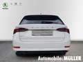 Skoda Octavia Combi First Edition 2.0 TDI 110 kW 7-Gang DSG *ACC Weiß - thumbnail 4