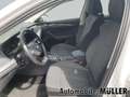Skoda Octavia Combi First Edition 2.0 TDI 110 kW 7-Gang DSG *ACC Weiß - thumbnail 12