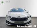 Skoda Octavia Combi First Edition 2.0 TDI 110 kW 7-Gang DSG *ACC Weiß - thumbnail 2