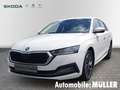 Skoda Octavia Combi First Edition 2.0 TDI 110 kW 7-Gang DSG *ACC Weiß - thumbnail 1
