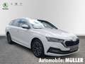 Skoda Octavia Combi First Edition 2.0 TDI 110 kW 7-Gang DSG *ACC Weiß - thumbnail 8