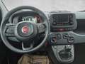 Fiat Panda /Pandina Hybrid 70 Schwarz - thumbnail 14