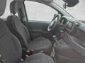 Fiat Panda /Pandina Hybrid 70 Schwarz - thumbnail 17