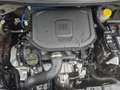 Fiat Panda /Pandina Hybrid 70 Schwarz - thumbnail 19