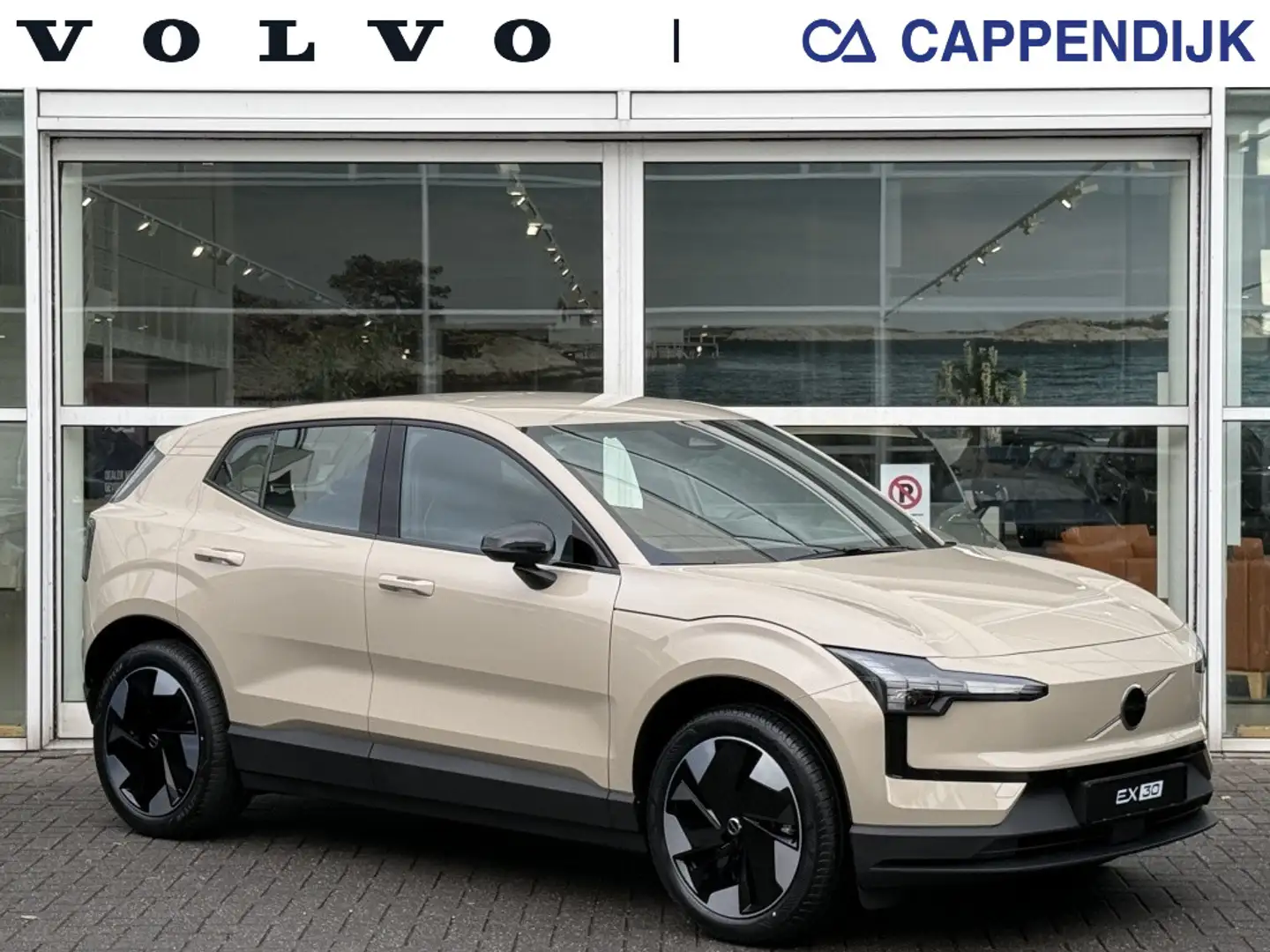 Volvo EX30 Extended Range Europa Brun - 1