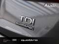 Audi Q3 2.0 tdi sport 4edition quattro 150cv s-tronic Gris - thumbnail 5
