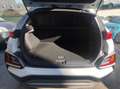Hyundai KONA Kona 1.6 hev Exellence Premium Pack 2wd dct Bianco - thumbnail 8