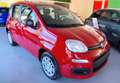 Fiat Panda Panda 1.0 FireFly S&S Hybrid Rood - thumbnail 1