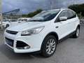 Ford Kuga 2.0 Diesel 150ch Auto Wit - thumbnail 3