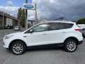 Ford Kuga 2.0 Diesel 150ch Auto Wit - thumbnail 4