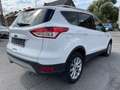 Ford Kuga 2.0 Diesel 150ch Auto Wit - thumbnail 8