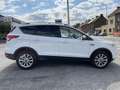 Ford Kuga 2.0 Diesel 150ch Auto Wit - thumbnail 7