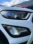 Ford EcoSport 1.0 EcoBoost 125 CV Start&Stop Active White - thumbnail 4