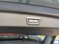 BMW iX1 xDrive30 xLine AHK ACC HUD Lenkradheizung Grün - thumbnail 18