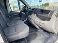 Citroen Jumper 33 2.2 HDi 100CV FURGONE L2H2 JUMPER L2-H2 Blanco - thumbnail 14