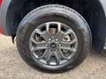 Ford Ranger 2.0 EcoBlue Aut. e4WD Doka WILDTRAK |AHK| Rot - thumbnail 8