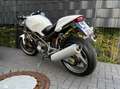 Ducati Monster 900 Blanc - thumbnail 3