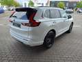 Honda CR-V e:HEV Advance Style/HO-Alu AWD*AKTION* Weiß - thumbnail 4