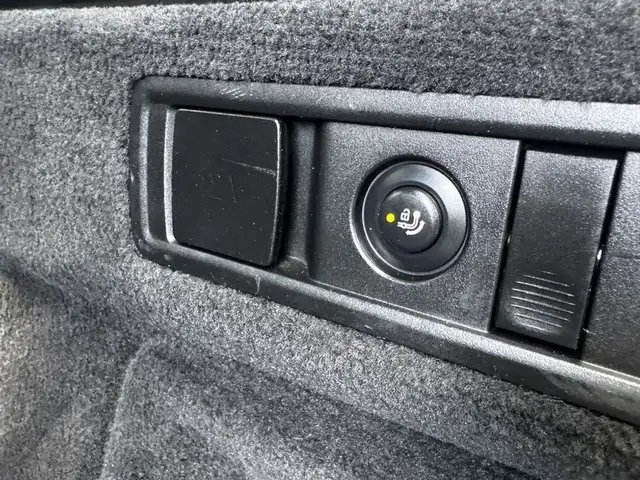 BMW X5 xDrive 45e M Sport Pano, Hub, Harman, KeylessGO Ansicht 19