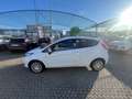 Ford Fiesta Fiesta VI 2008 3p 1.4 16v + Gpl c/esp E5 Bianco - thumbnail 5