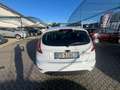 Ford Fiesta Fiesta VI 2008 3p 1.4 16v + Gpl c/esp E5 Bianco - thumbnail 4
