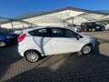 Ford Fiesta Fiesta VI 2008 3p 1.4 16v + Gpl c/esp E5 Bianco - thumbnail 3