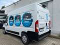 Fiat eDucato Kastenwagen L2H2 47 kWh Weiß - thumbnail 2